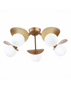 Потолочная люстра Bolzano SLE220502-05 Evoluce