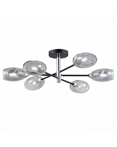 Потолочная люстра Gloa SLE155512-06 Evoluce