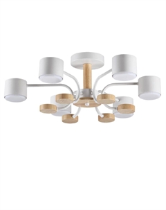 Люстра на штанге Rondo 8231/6C Lumion