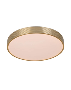 Потолочный светильник Malin 79184/24/02 Lucide