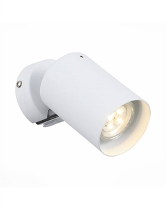 Светодиодный спот Fanale SL597.501.01 St-luce