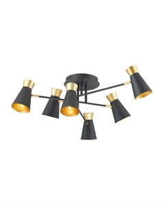 Потолочная люстра Liam 3790/6C Lumion