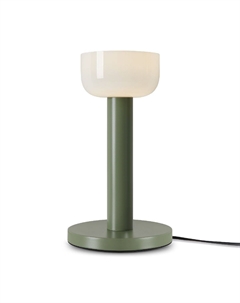 Настольная лампа Barries FR6185TL-L5GN Freya