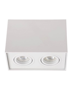 Потолочный светильник Tube 22953/02/31 Lucide