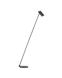 Торшер Hester 19700/01/30 Lucide