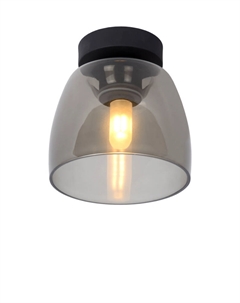 Потолочный светильник TYLER 30164/01/30 Lucide