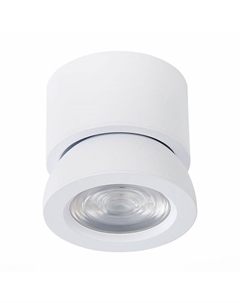 Светодиодный спот ST654.542.10 St-luce