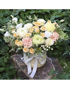 Коробка с цветами «Зефирка» Florpro