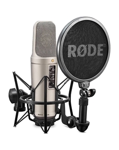 Студийный конденсаторный микрофон RODE NT2-A Rode