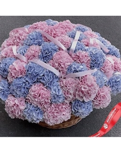Букет из 51 гортензии «Роскошная корзина гортензий» Azalianow цветы. подарки. декор