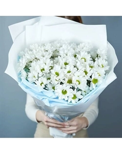 Букет из 15 белых ромашковых хризантем в упаковке Azalianow цветы. подарки. декор