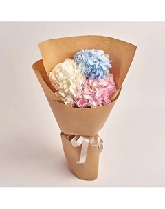 Букет из 3 разноцветных гортензий в крафте Azalianow цветы. подарки. декор