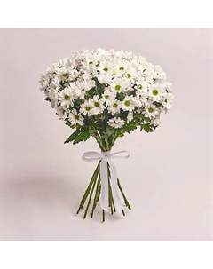 Букет из 15 кустовых белых хризантем ромашек без упаковки Azalianow цветы. подарки. декор