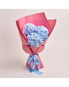 Букет из 3 голубых гортензий в розовой пленке Azalianow цветы. подарки. декор
