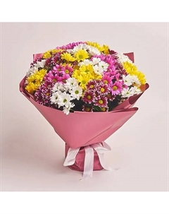 Букет из 25 разноцветных кустовых хризантем в розовой пленке Azalianow цветы. подарки. декор