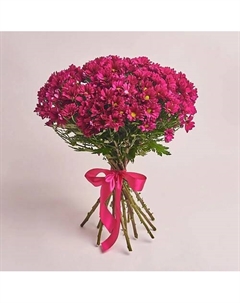 Букет из 15 кустовых малиновых хризантем оформленных под ленту Azalianow цветы. подарки. декор