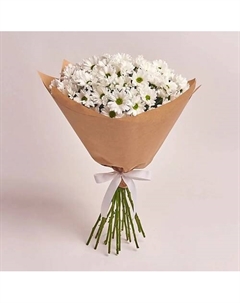 Букет из 15 кустовых белых хризантем ромашек в крафт-бумаге Azalianow цветы. подарки. декор