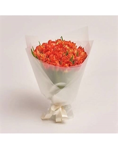 Букет из 25 пионовидных красных тюльпанов в пленке Azalianow цветы. подарки. декор