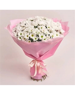 Букет из 25 белых ромашковых хризантем в розовой пленке Azalianow цветы. подарки. декор