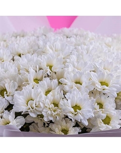 Букет из 19 белых хризантем Ромашка Azalianow цветы. подарки. декор