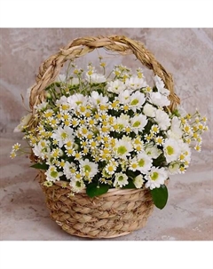Букет из белых хризантем и ромашек в корзине Azalianow цветы. подарки. декор