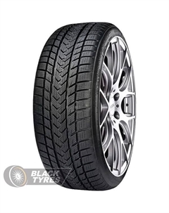 Зимняя шина SureGrip eWinter 205/45 R17 88V XL Gripmax