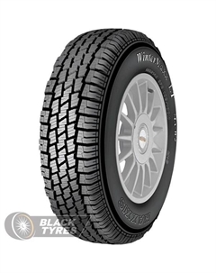Зимняя шина WinterMaxx MA-W2 205/75 R16 110/108R C Maxxis