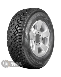 Зимняя шина Winter WD42 285/50 R20 116T Delinte