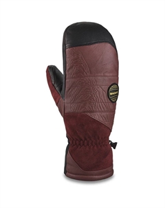 Варежки DK Team Baron Gore-Tex Mitt Dakine