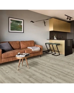 Линолеум «Дуб Берген» 33 класс 3 м Ivc