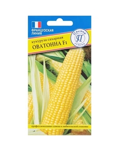 Семена Кукуруза сахарная «Оватонна» F1 Престиж семена