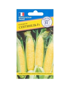 Кукуруза сладкая Сентинель F1 10 шт. Престиж семена