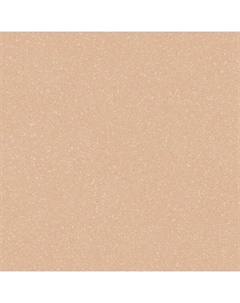 Линолеум коммерческий гетерогенный ACCZENT PRO ASPECT 5 3 м (60 м2) Tarkett