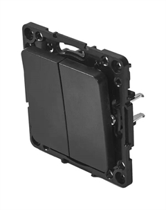 Переключатель встраиваемый Стокгольм EZV10-027-20 2 клавиши цвет черный Ekf