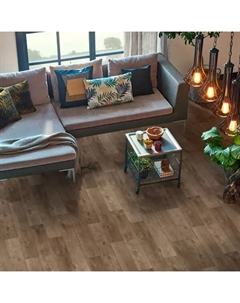 Линолеум «Дуб Роберта» 32 класс 4 м Tarkett