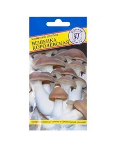 Семена Гриб вёшенка «Королевская» Престиж семена