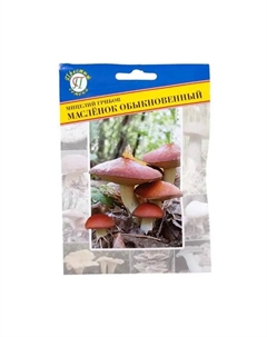 Семена Гриб маслёнок обыкновенный Престиж семена