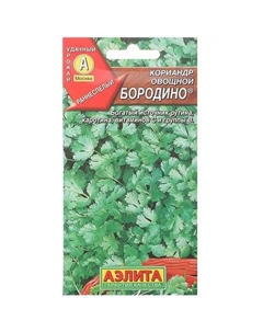 Семена Кориандр овощной «Бородино» Аэлита