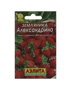 Семена Земляника «Александрина» (Лидер) Аэлита