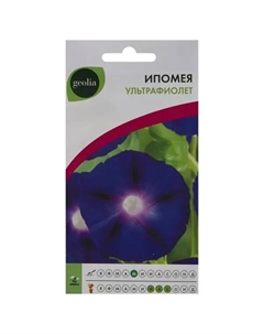 Семена цветов Ипомея Ультрафиолет Geolia