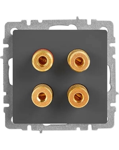 Аудио розетка встраиваемая Brite РА10-БрГ цвет графит Iek