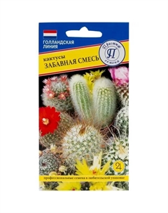 Кактусы «Забавная смесь» Престиж семена