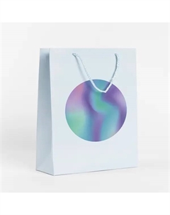 Пакет подарочный Гармония 25.5x36 см цвет бело-бирюзовый Симфония