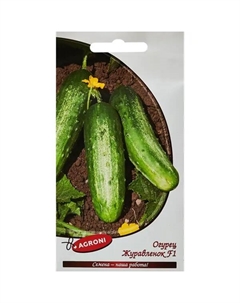 Семена овощей огурец Журавленок F1 Агрони