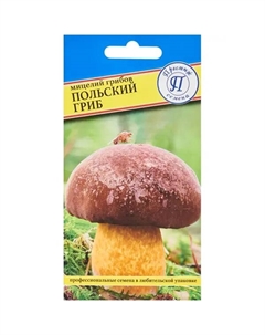 Мицелий грибов гриб Польский Престиж семена