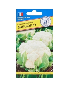 Семена овощей капуста цветная Миньон F1, 10 шт. Престиж семена