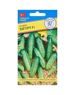 Семена овощей огурец Вятич F1, 5 шт. Престиж семена