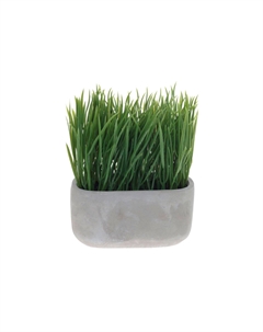 Цветочная композиция Осока Hoff