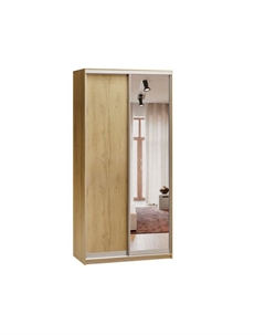 Шкаф-купе Байкал-2-100-220 Дуб Золотистый с зеркалом Диван.ру