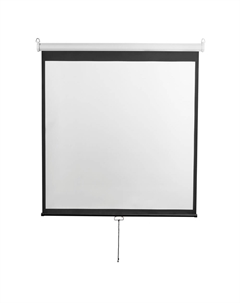 Экран для проекторов Digis DSOD-16904